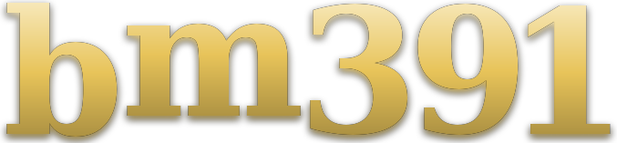 bm391 logo